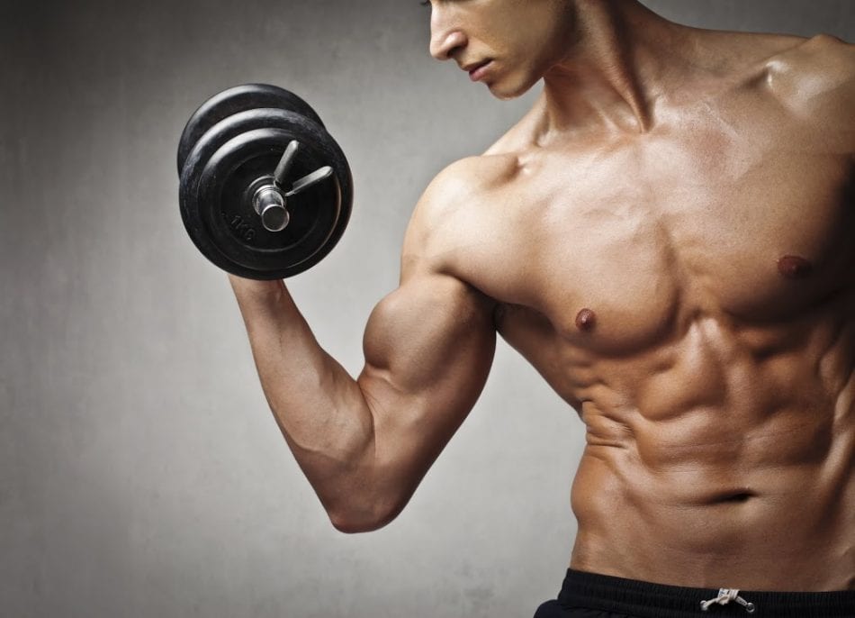 Building Muscle For Skinny Guys